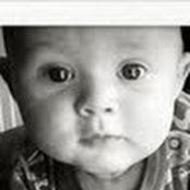 Gregory Norris's photo