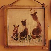 Rachel Waff's photo