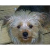 Cathy Silcox's photo