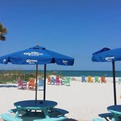 Ann Dennis's photo