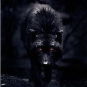 Deanna Antons foto