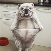 Jacqueline Boon's photo