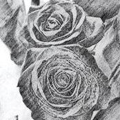 Sergio Arevalo's photo