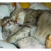 Marni Green's photo