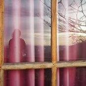 Lisa Mieth's photo