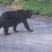 Julie Calhoun-Roepnack's photo