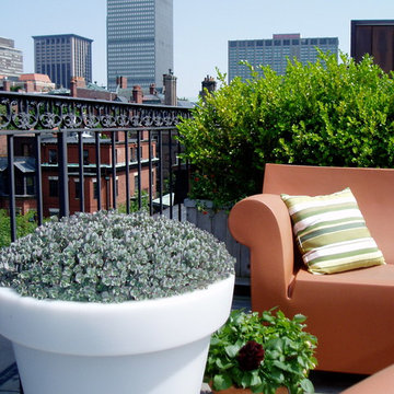 Back Bay, Rooftop/Kitchen Garden