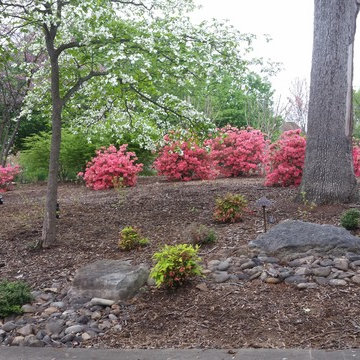 Landscape 360 Turnaround