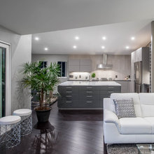 293Ricardo_remodel