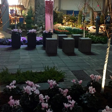 Southern Spring Home and Garden Show Entry 2016:  Spring in Japan