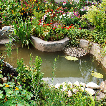Pool and Pond Lanscaping Oakwood Georgia