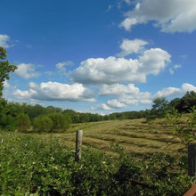 homesteading 2015