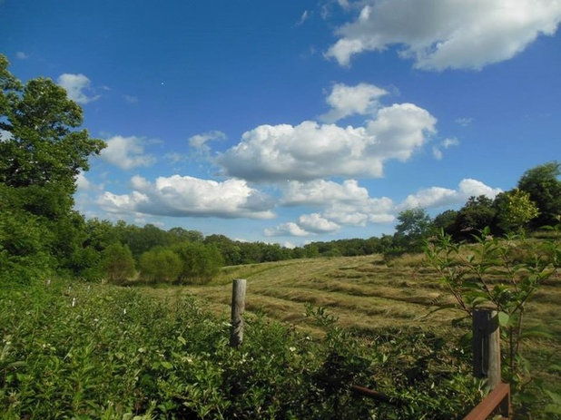 Farmhouse Landscape gosherd