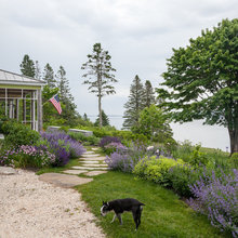 Coastal garden