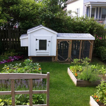 Backyard Garden