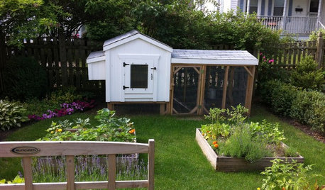 Comment personnaliser un jardin de lotissement ?