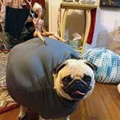 Foto von Lolla Lou