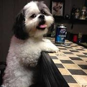Lisa Kass's photo
