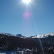 Arziko Bardhi's photo