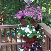 Myra Maddox's photo