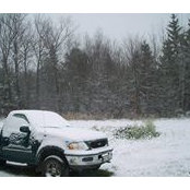 Sue Currin's photo