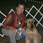 JoAnne Vogt's photo