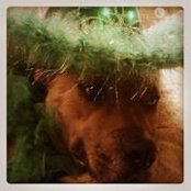 Melissa Olinger-Wildrick's photo