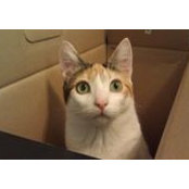 Ly Walthall's photo