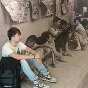 Harvey Tsang's photo