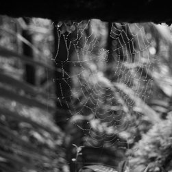 Photo Catalog - Abstract samples - Products