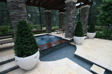 Design ideas for a transitional pool in Orlando.