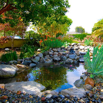 Water Garden
