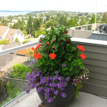 Flower Pots