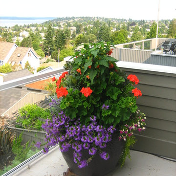 West Seattle