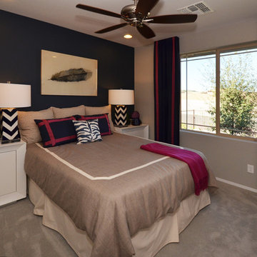 Desert Intrigue @ Vistancia | Peoria, AZ | 4092 - Captivate
