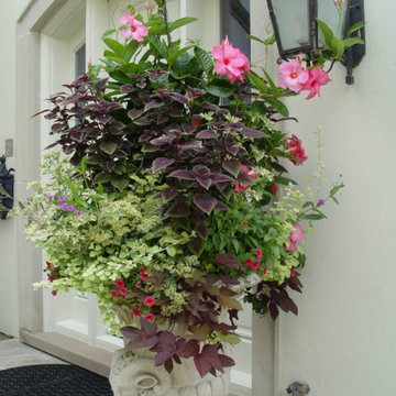 Container Pot Gardens