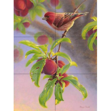 Tile Mural Purple Finch And Plums SG By Shawn Gould