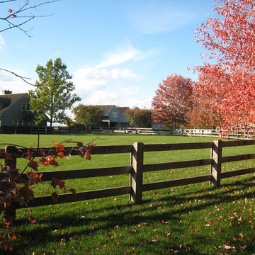 Paddock