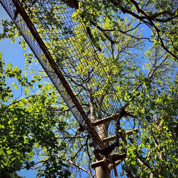 Treehouse tree bridge