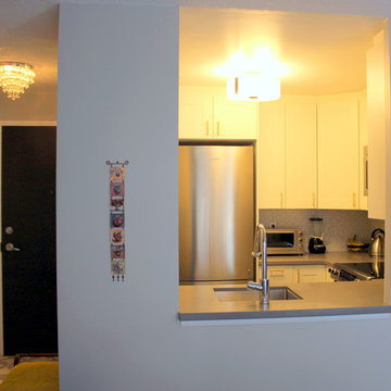 Small Condo North York