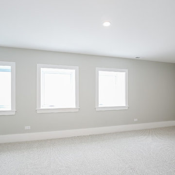 Skokie Whole Home Remodel