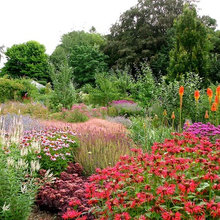 B - Flowerbed red
