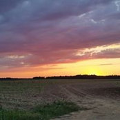 Sandym RFred's photo