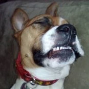 Carolee Goddard-Hickman's photo