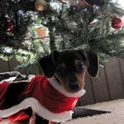 Christy Andrews-Larson's photo