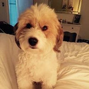 Marie Dolan's photo