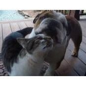 Rhonda Wells's photo