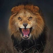 Foto von Deana Floyd