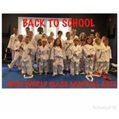 WorldClass MartialArts's photo