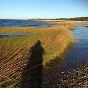 Anna Kitzis's photo